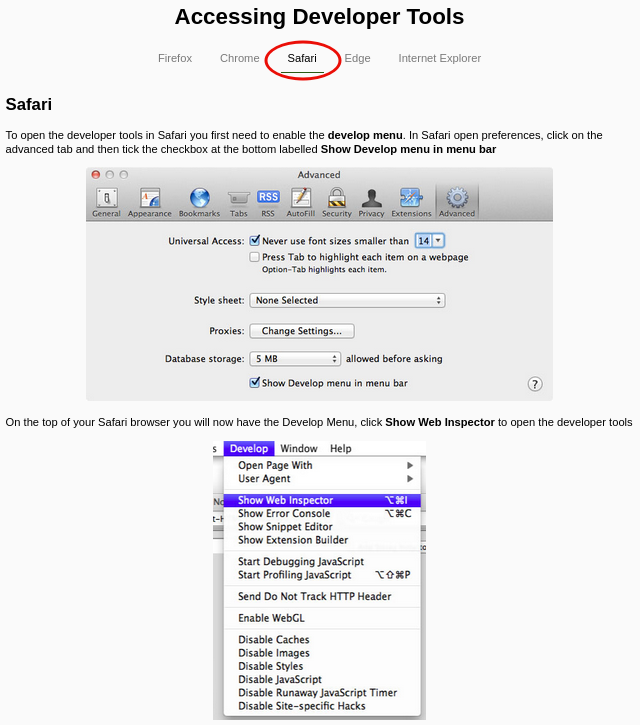 Accessing Developer Tools - 3