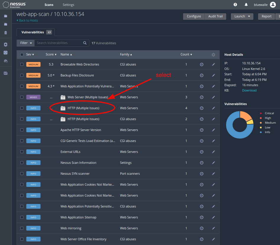 Web application scanning - 2